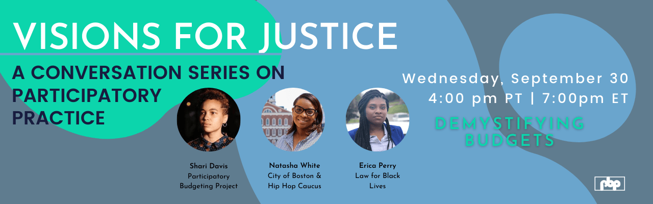 Visions for Justice: A Conversation Series on Paritcipatory Practice - Demystifying Budgets