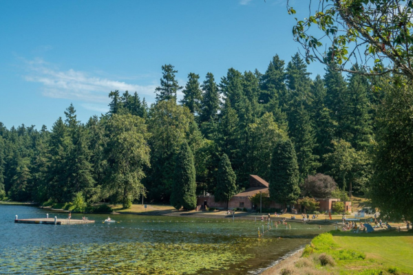 Summertime by the shore Water and trees on shoreline