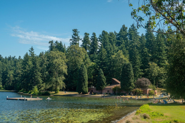 Water and trees on shoreline