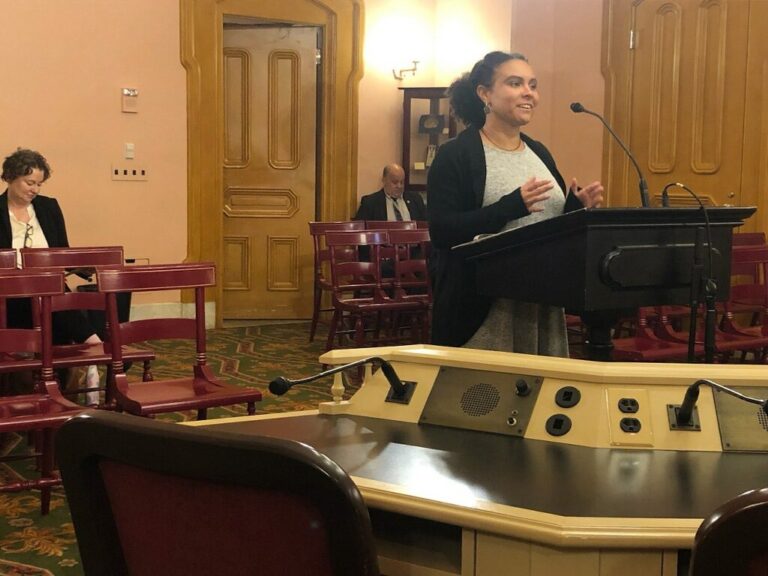 Organizer stands in front of lectern inside state capital room